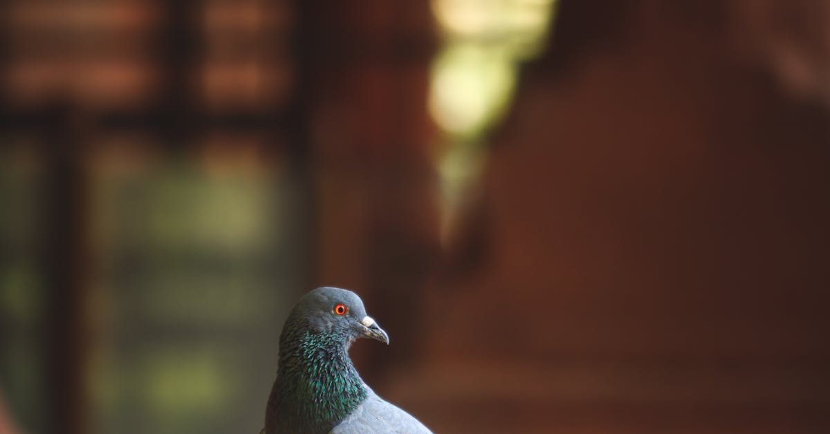 Acupuncture: A Natural Approach to Combatting Everyday Stress