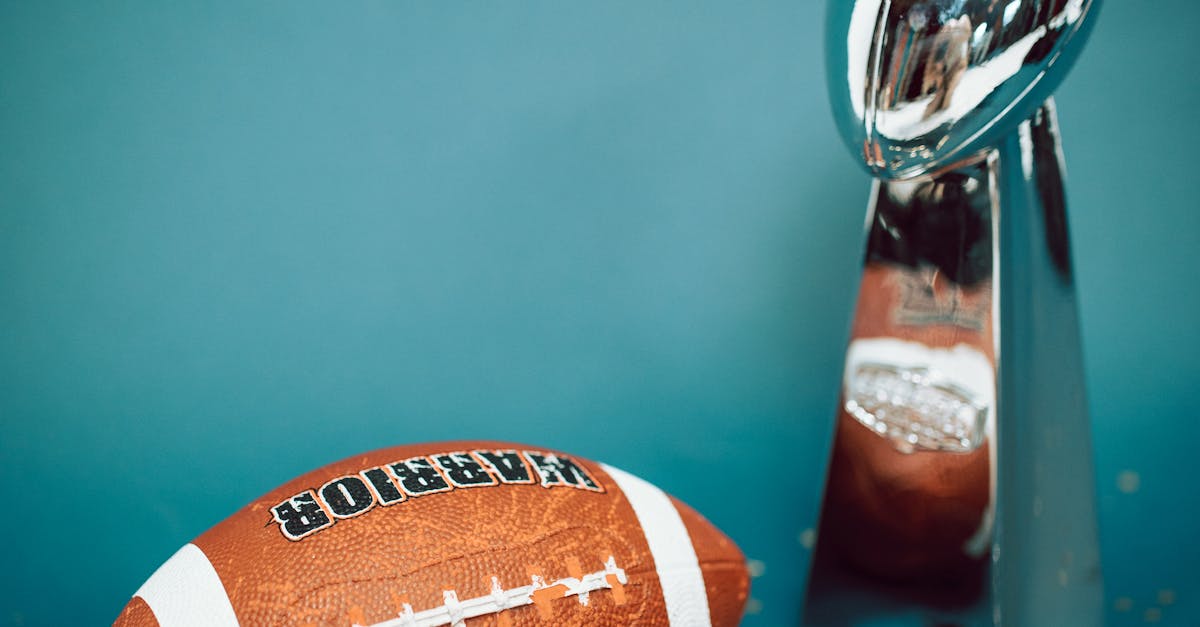 Assessing the Importance of Continuous Professional Development for Acupuncturists