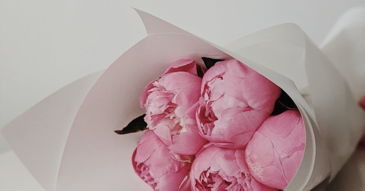 Benefits of Combining Herbal Medicine with Traditional Chinese Acupuncture