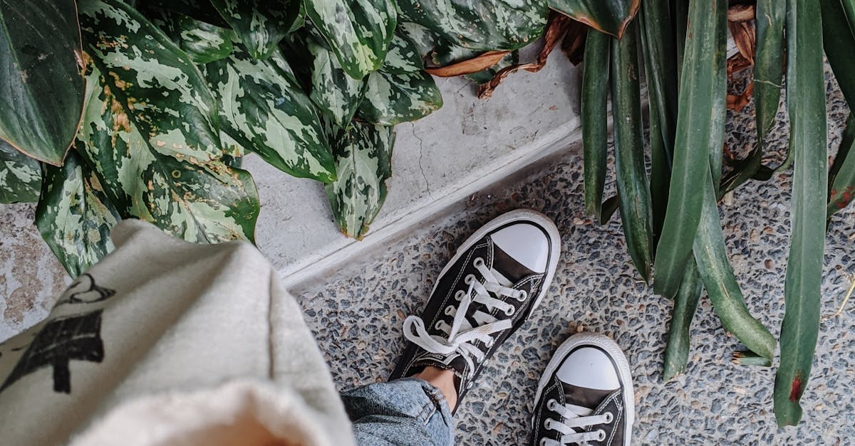 Comparing Traditional Chinese Acupuncture and Other Healing Modalities