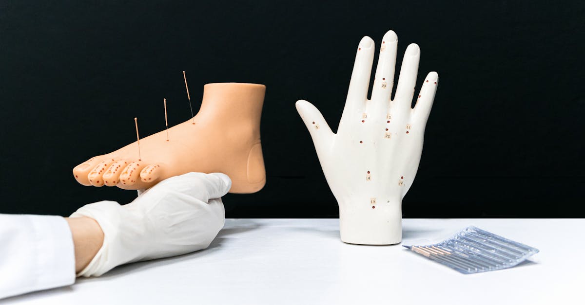 Essential Credentials for Acupuncturists in Queensland