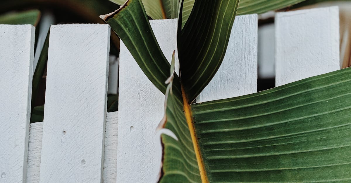 Getting the Most from Your Acupuncture: Focus on Treatment Techniques