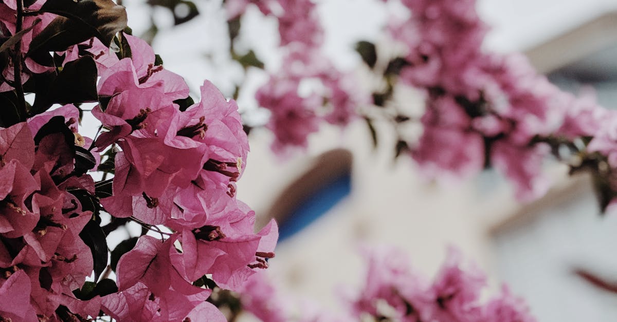 The Importance of Accessibility in Choosing Acupuncture Clinics