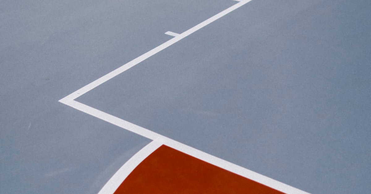 The Role of Electro-Acupuncture in Rehabilitation