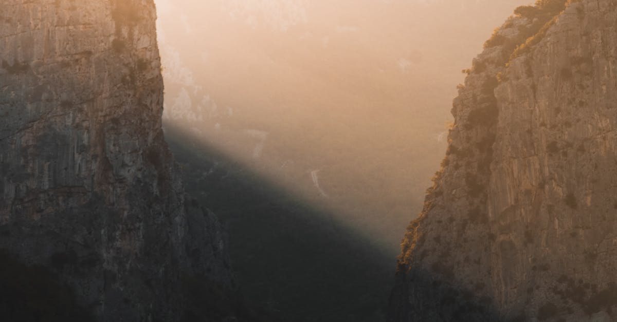 The Role of Ki and Meridians in Japanese Acupuncture